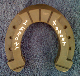 1 Front Extra Short