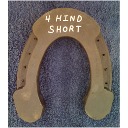 4 Hind Short